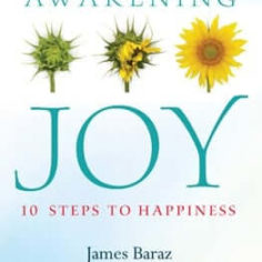 Awakening Joy Cover - James Baraz