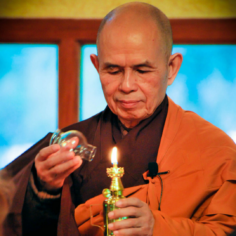 Thich Nhat Hanh My Life is My Teaching