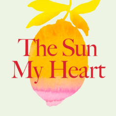 The Sun My Heart